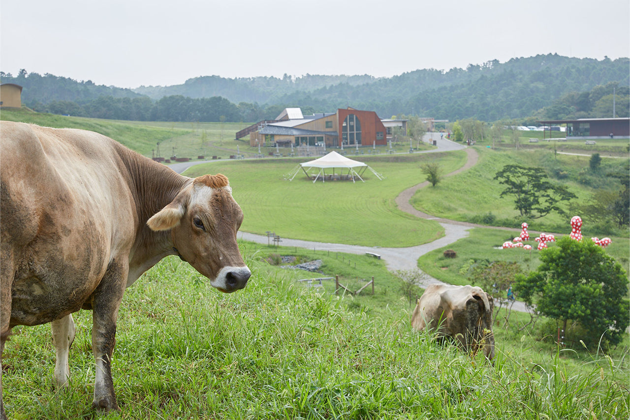 2025 ゴールデンウィーク EVENT INFORMATION