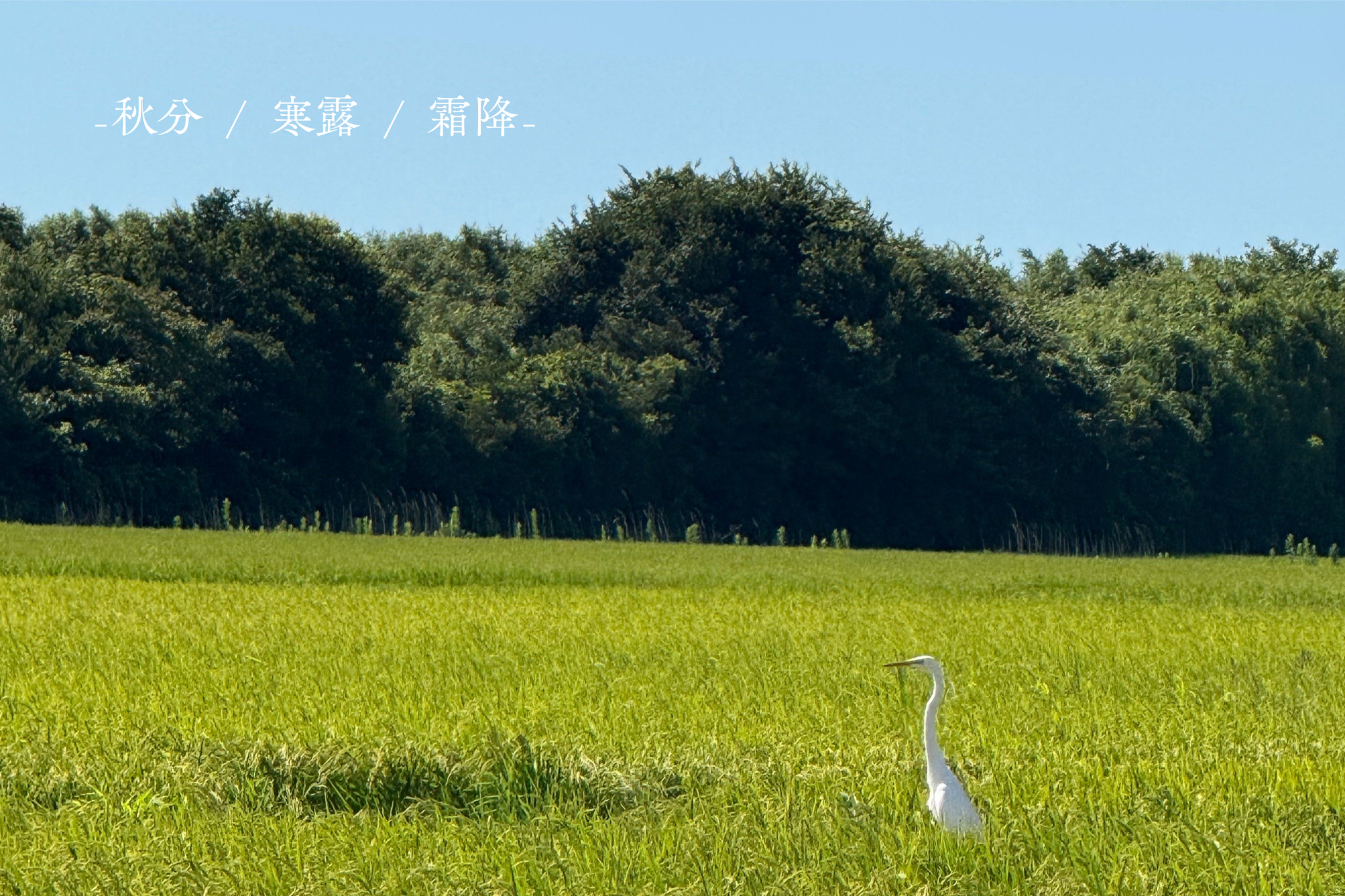 二十四節気とLOVEGのある暮らし -秋分 / 寒露 / 霜降-