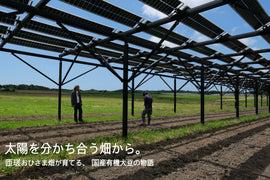 太陽を分かち合う畑から。匝瑳おひさまが育てる、国産有機大豆の物語