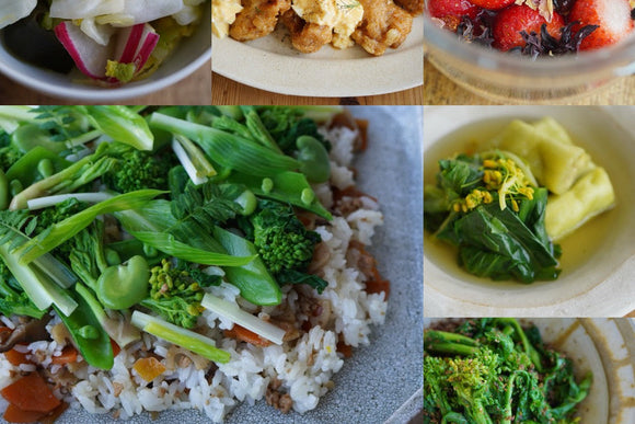 四季とソイミールの お料理会 4/13(月) 11:00-14:00