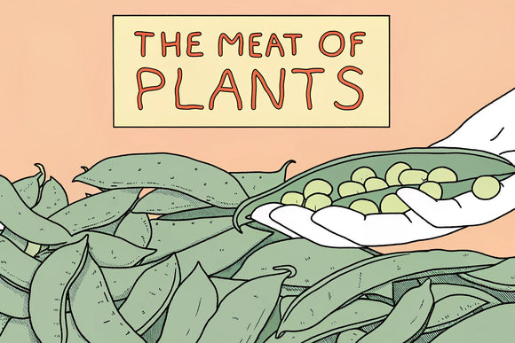 豆のさやを手に載せた絵と『THE MEAT OF PLANTS』の文字