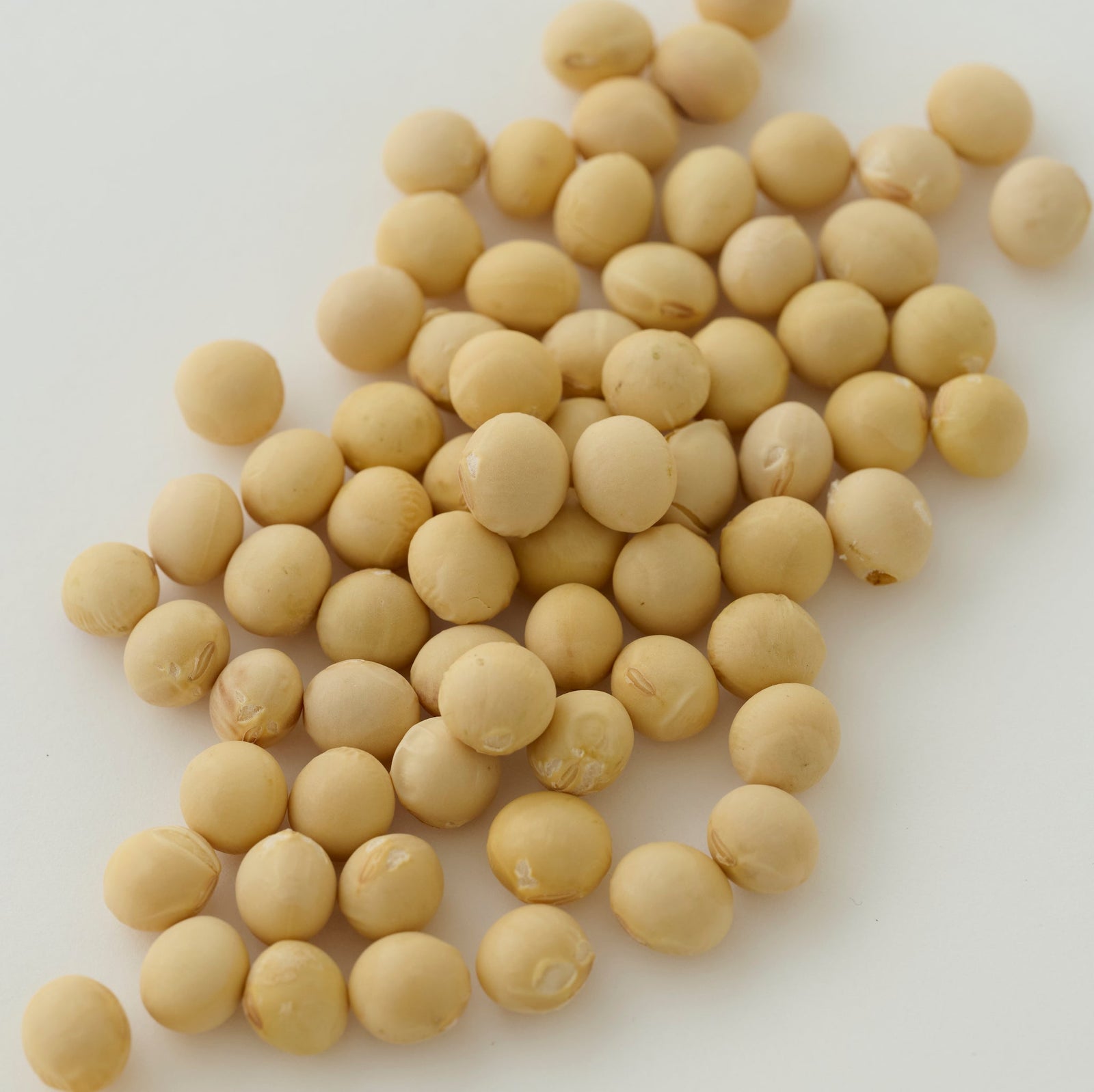 ORGANIC WHOLE SOYBEANS